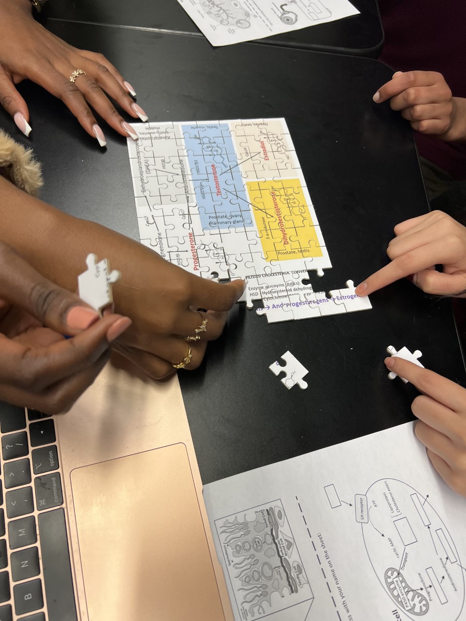 An image of students working on a puzzle