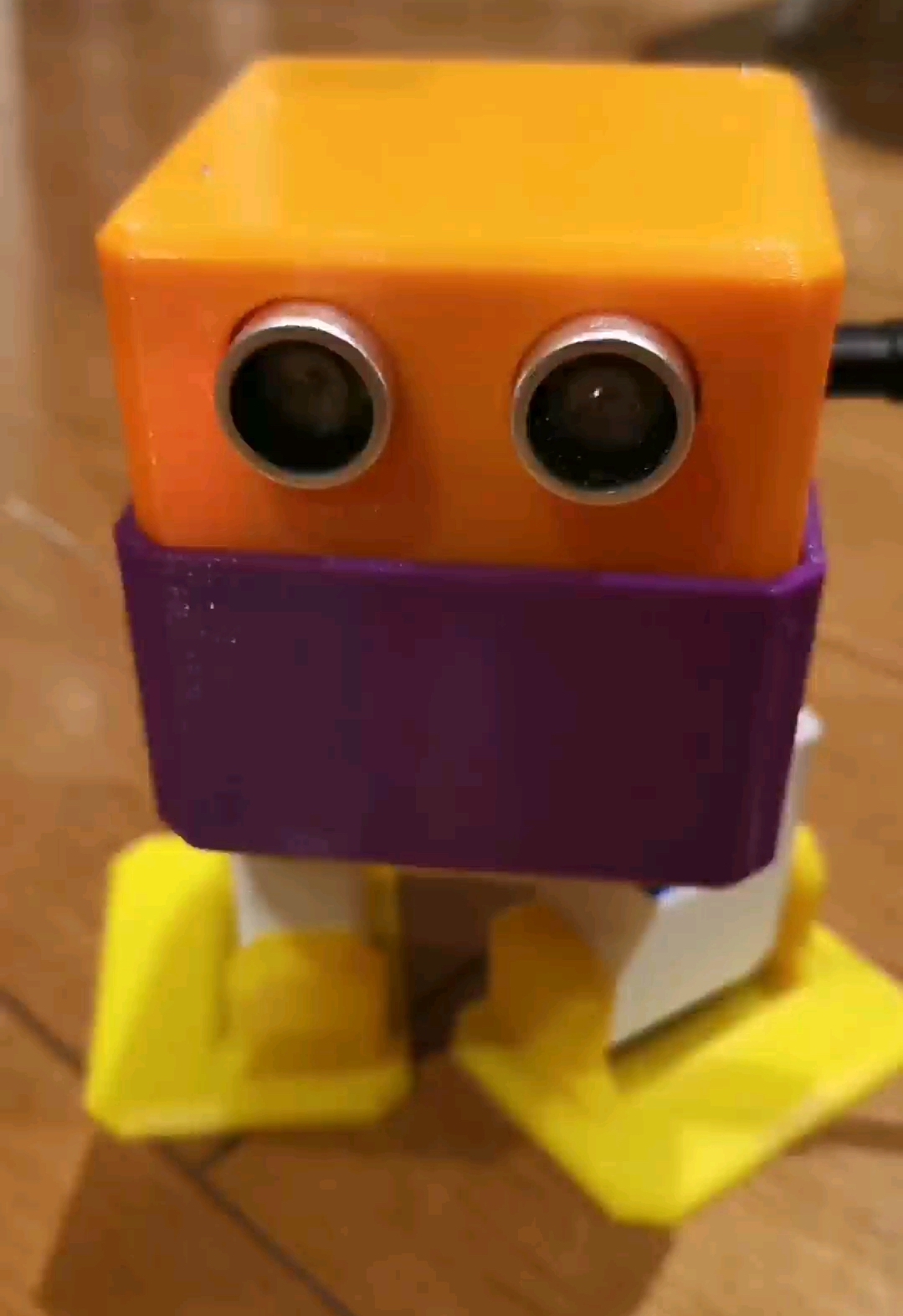 Bob Jr robot